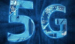 社会热点话题2025 网红大鹅,大鹅的逆袭与社交媒体的魔力