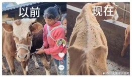 网红小英被曝大瓜