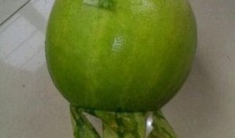 每日必吃 今日吃瓜事件,揭秘娱乐圈最新热点事件